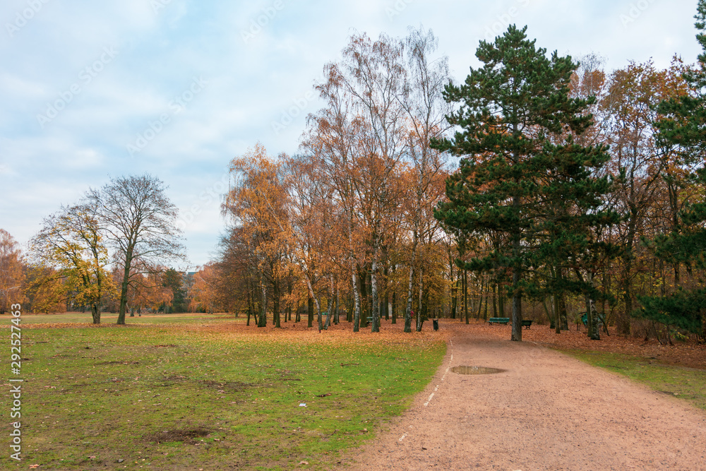 Beutiful Tiergarten Park in Belin with autumn foliage