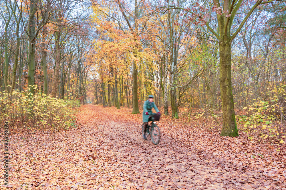 Beutiful Tiergarten Park in Belin with autumn foliage