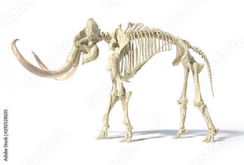 Woolly mammoth skeleton, realistic 3d illustration, side view.