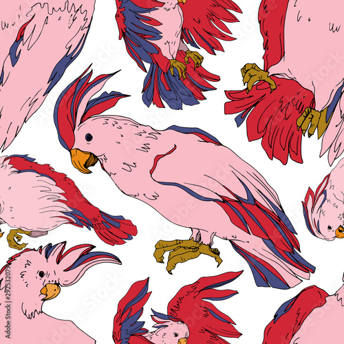 Vector Sky bird cockatoo in a wildlife isolated. Black and white engraved ink art. Seamless background pattern.