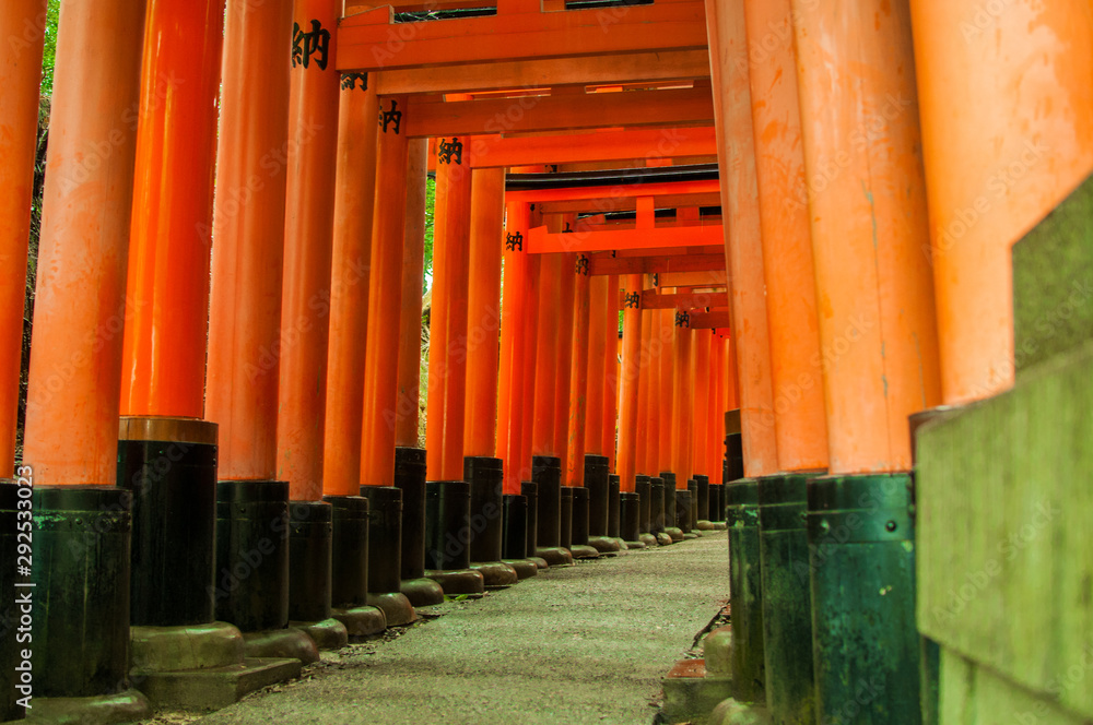 Many shrine gates at Fushimi Inari Taisha Shrine in Japan Many shrine gates at Fushimi Inari Taisha Shrine in Japan