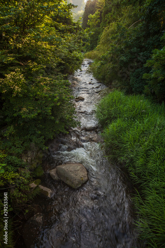 沢