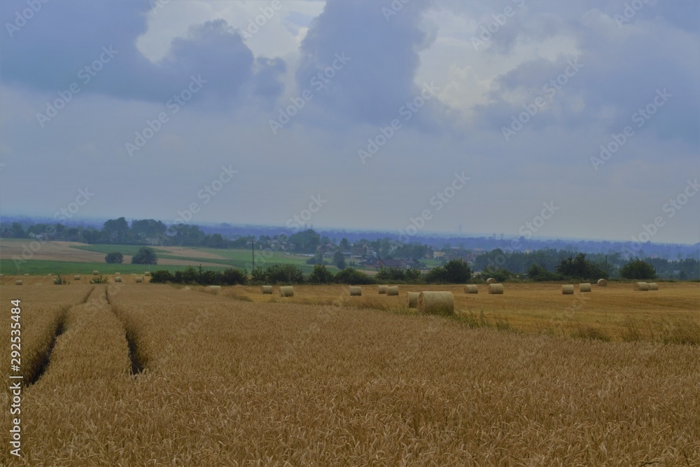  road in a wheat field