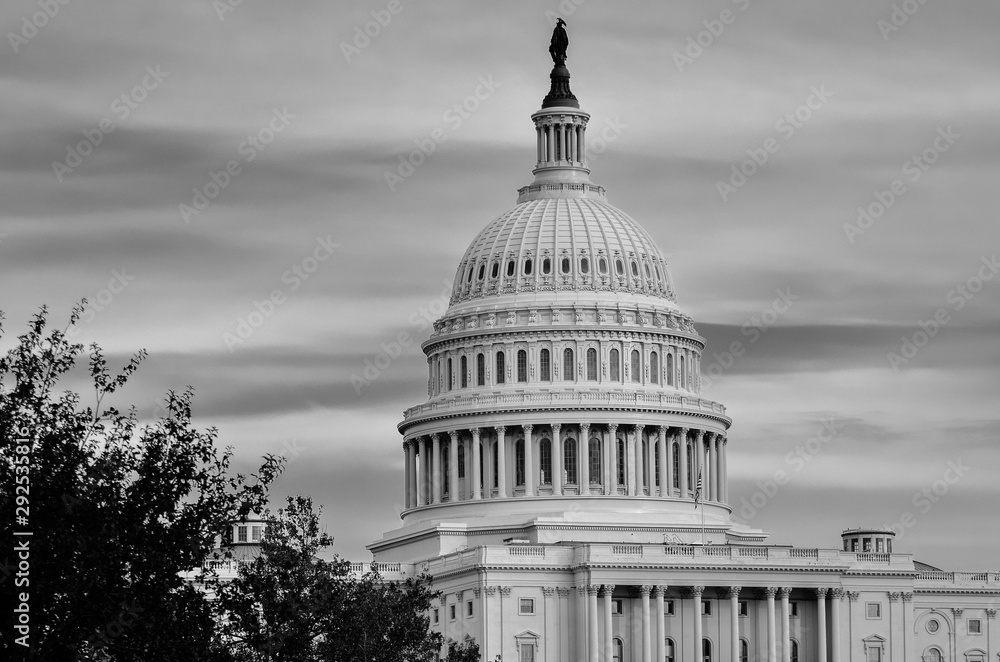 United States Capitol Dome in cloudy day - Black and white - Washington D.C. United States of America