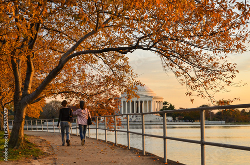 Fototapeta Naklejka Na Ścianę i Meble -  Jefferson Memorial in autumn foliage - Wasihngton D.C. United States of America