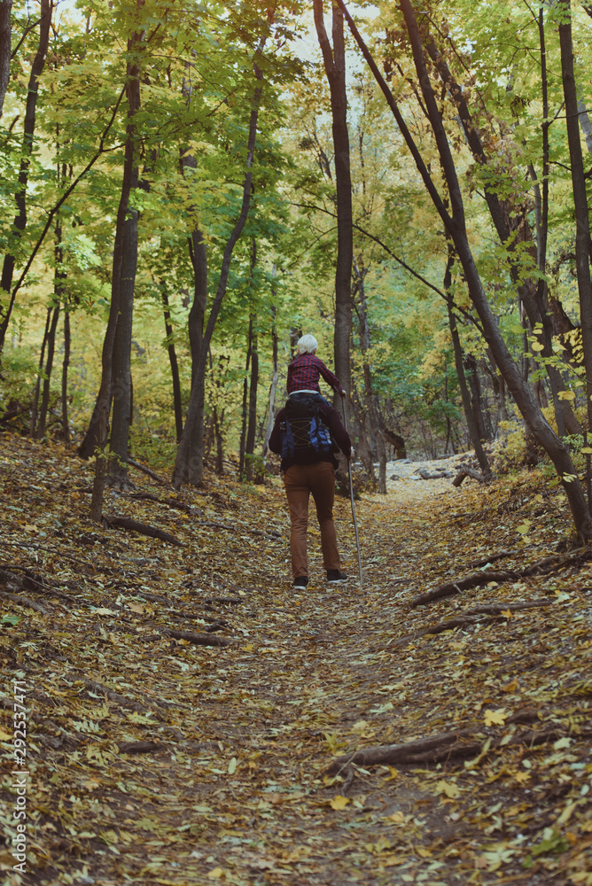 Father with son on his shoulders walking in the autumn forest. Back view