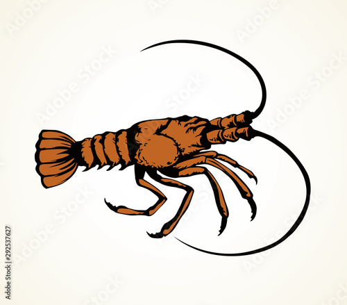 Lobster. Vector drawing