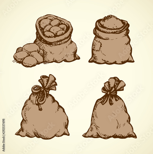 Bag. Vector drawing