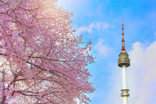 Seoul tower with cherry blossom in spring,Seoul,South Korea.