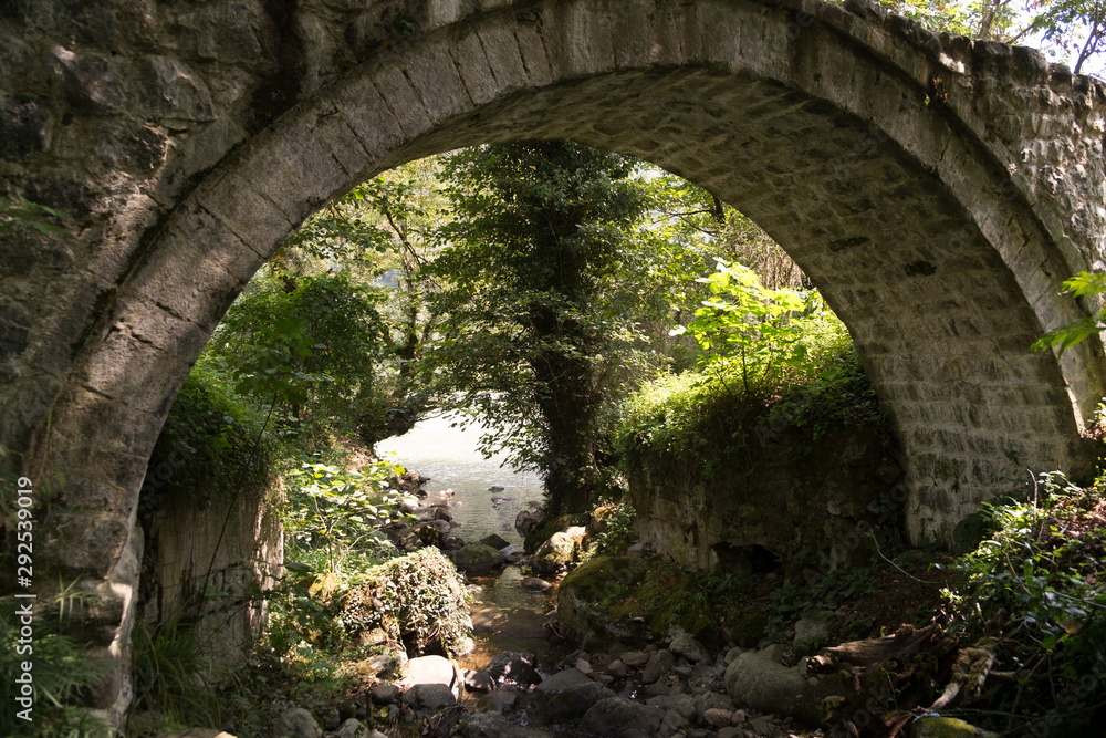 the old stone bridge in the forest. mountain river in the background