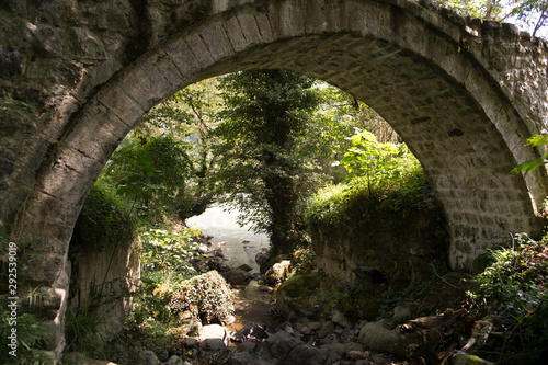 the old stone bridge in the forest. mountain river in the background