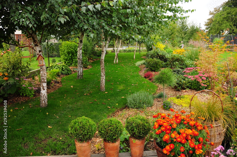 Naklejka premium Jesienna rabata w ogrodzie