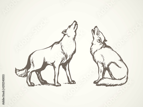 Wolf. Vector drawing