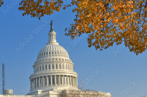 United States Capitol Building in autumn foliage - Washington D.C. United States of America