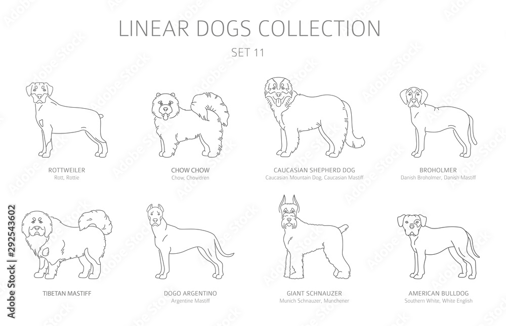 Simple line dogs collection isolated on white. Dog breeds. Flat style clipart set