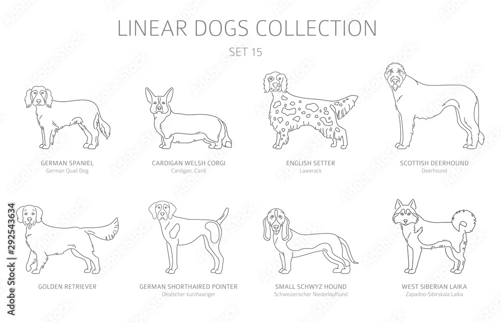 Simple line dogs collection isolated on white. Dog breeds. Flat style clipart set