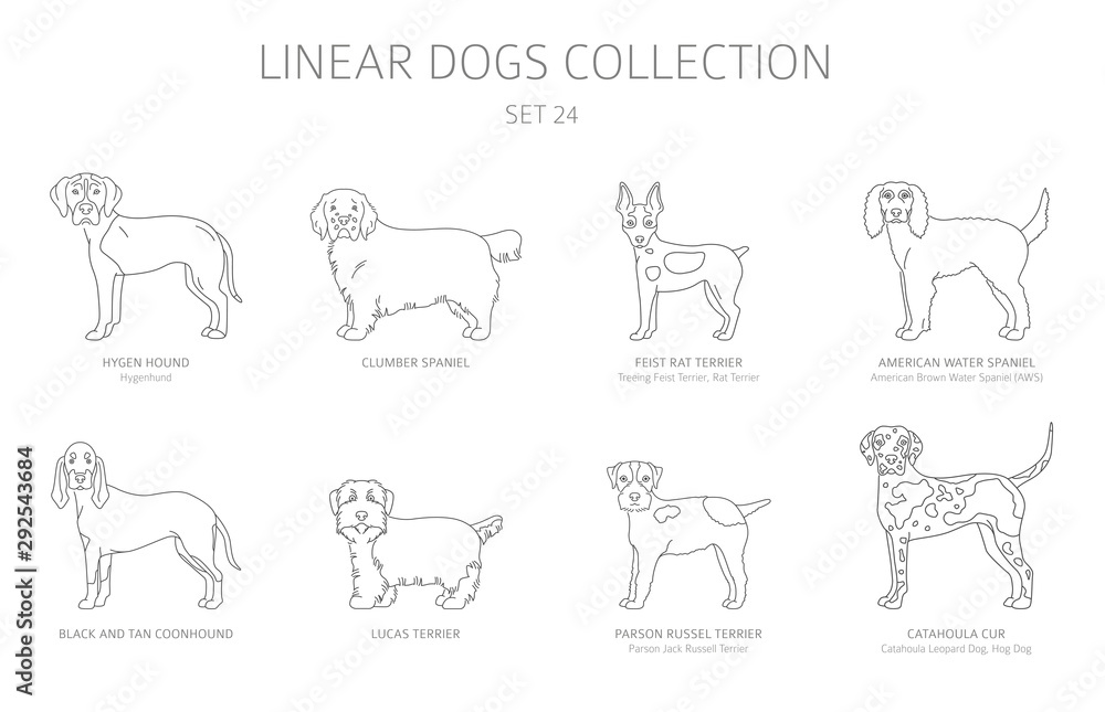 Simple line dogs collection isolated on white. Dog breeds. Flat style clipart set