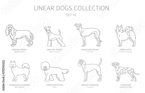 Simple line dogs collection isolated on white. Dog breeds. Flat style clipart set