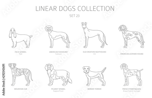 Simple line dogs collection isolated on white. Dog breeds. Flat style clipart set