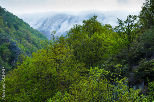 The Natural Park of Fuentes del Narcea, Degaña e Ibias, Asturias, Spain, Europe photo