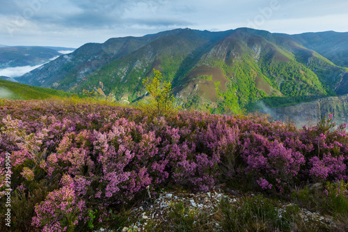 The Natural Park of Fuentes del Narcea, Degaña e Ibias, Asturias, Spain, Europe photo