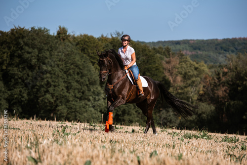 Reiterin galoppiert mit ihrem Pferd über ihr Stoppelfeld