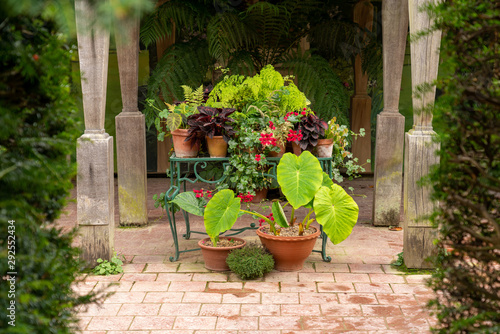 Fototapeta Naklejka Na Ścianę i Meble -  Flowers on old stone patio in English garden