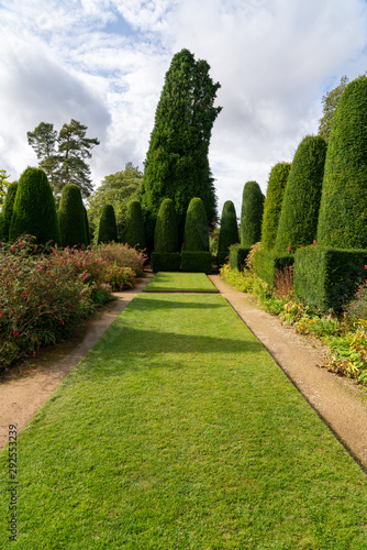 Yew tree topiary in old English garden