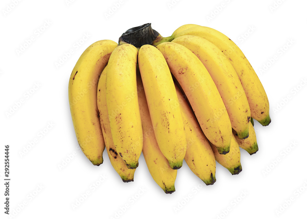 Organic bananas fruit  isolated on white background.This has clipping path.  