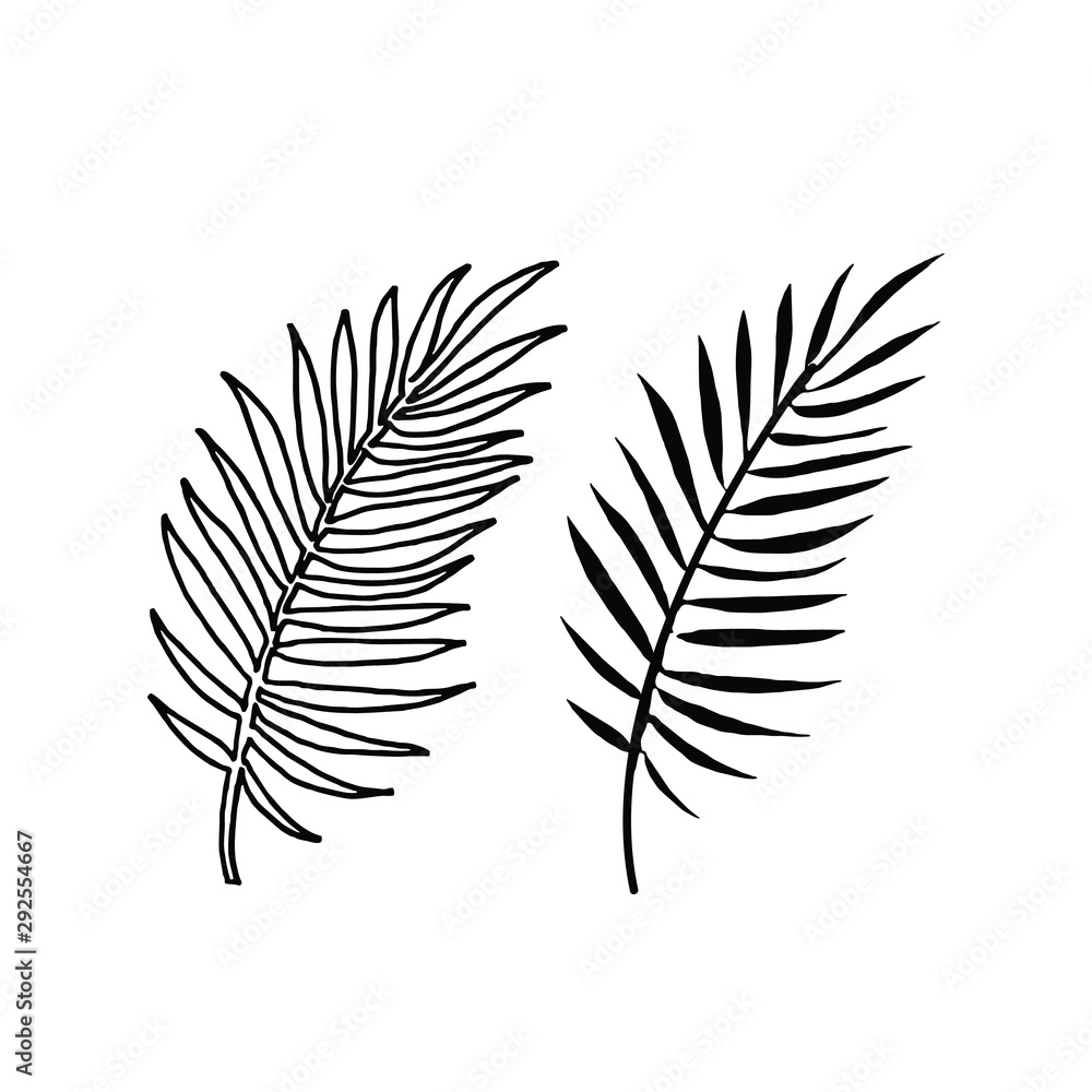 Tropical Palm Leaf silhouette with outline. Black isolated prints of palm leaves on the white background.  Vector Illustration