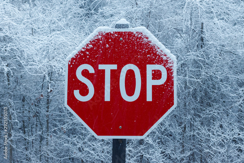 stop sign in a winter snowstorm  © Walter E Elliott