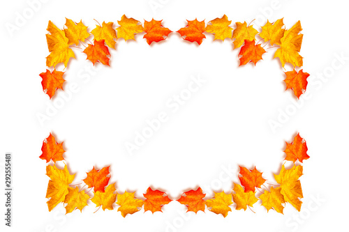 Bright colorful autumn leaves