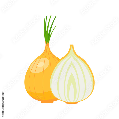 Onion icon isolated on white background. Vector illustration.