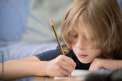 Young boy studying at home