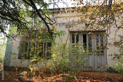Old abandoned building with broken windows. Building is overgrown with bushes and trees.