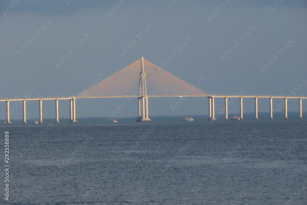 Obraz premium bridge in manaus