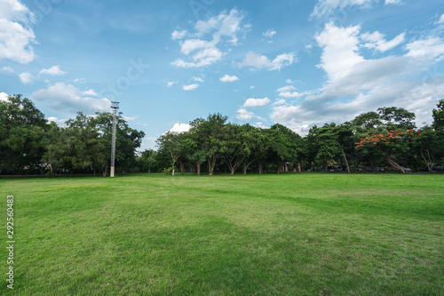 landscape of grass field and green environment public park use as natural background,backdrop