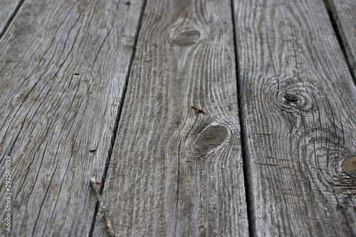 Background of old wood. Natural aging. Unusual in the ordinary.