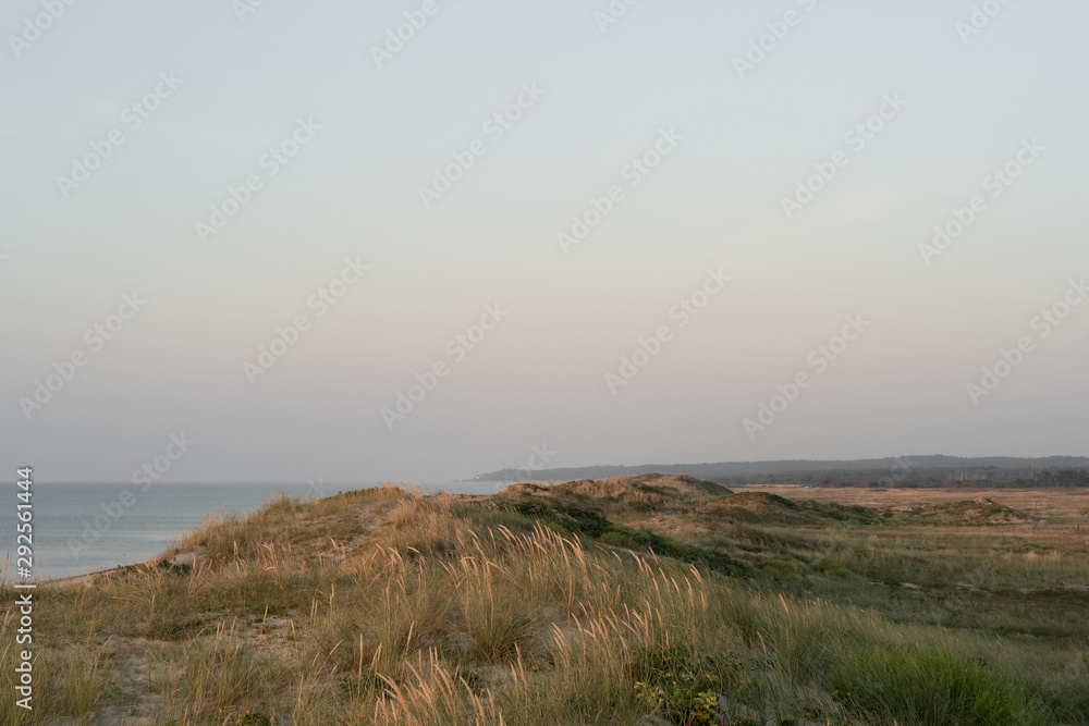 Nordic beach and sand dunes at sunset