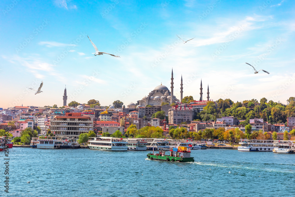 Obraz premium Molo Eminonu i Meczet Sulejmana Wspaniałego w Stambule w Turcji
