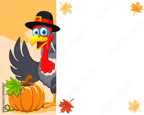 Turkey in a hat with a pumpkin peeks out from behind a white sheet, a place for text. Thanksgiving Day.