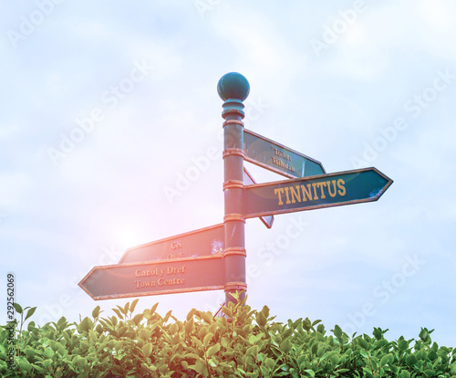 Handwriting text Tinnitus. Conceptual photo A ringing or music and similar sensation of sound in ears Green road sign on the crossroads with blue sky and green grass in the background photo