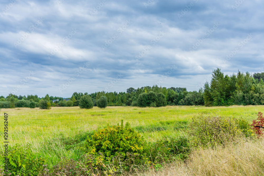 Fototapeta premium Clouds And Field Landscape 2