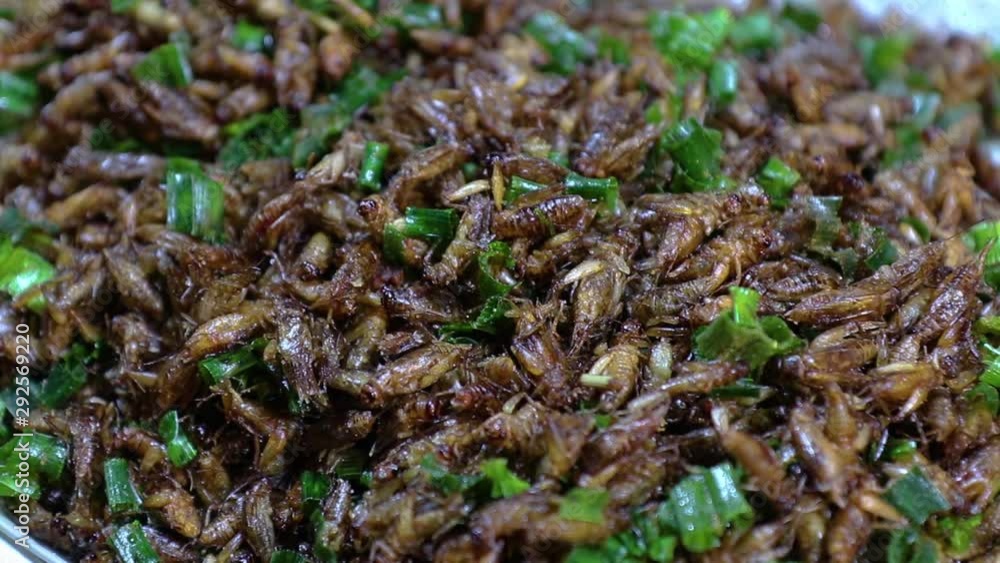 Fried insects on the streets of Chiangmai Road in Thailand Fried insects on the streets of Chiangmai Road in Thailand