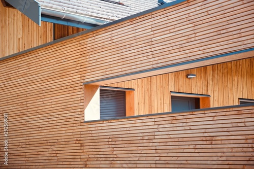 windows in wood wall and door in wall geometry wood wall