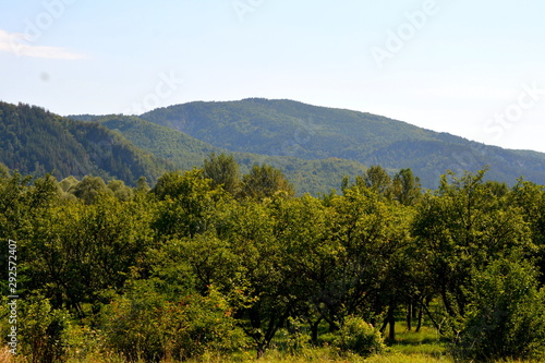 Typical landscape in the forests of Transylvania, Romania. Green landscape in the midsummer, in a sunny day