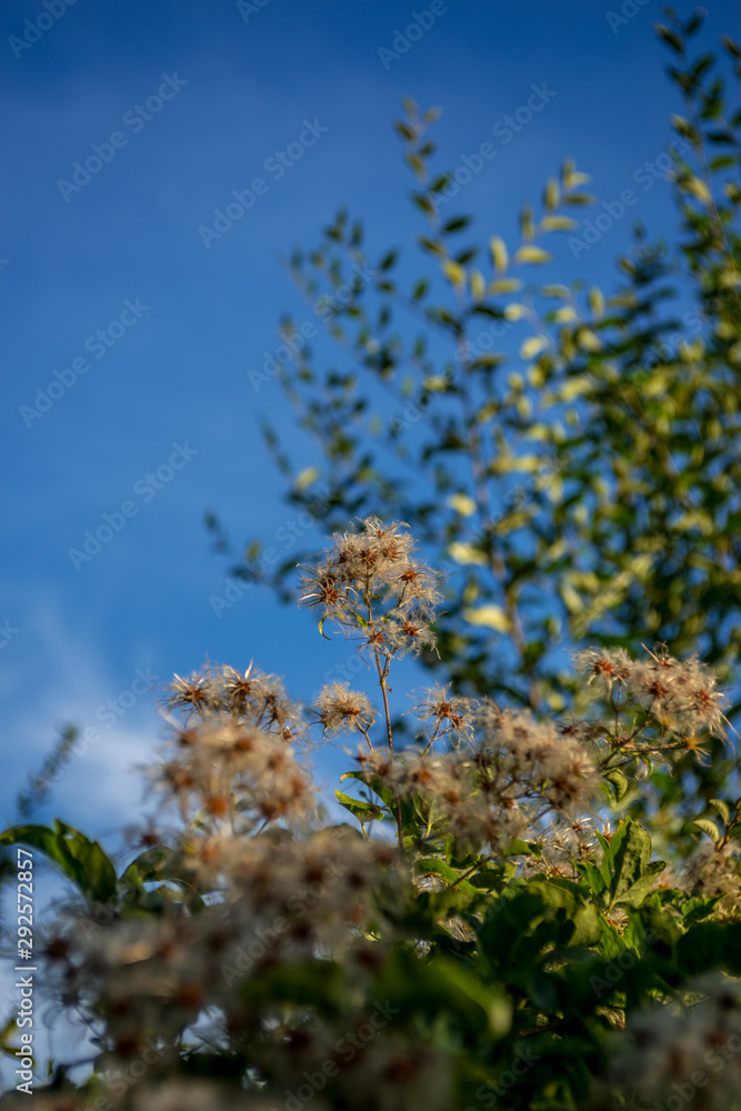 autumn landscape, mountain landscape on a sunny day autumn landscape, mountain landscape on a sunny day