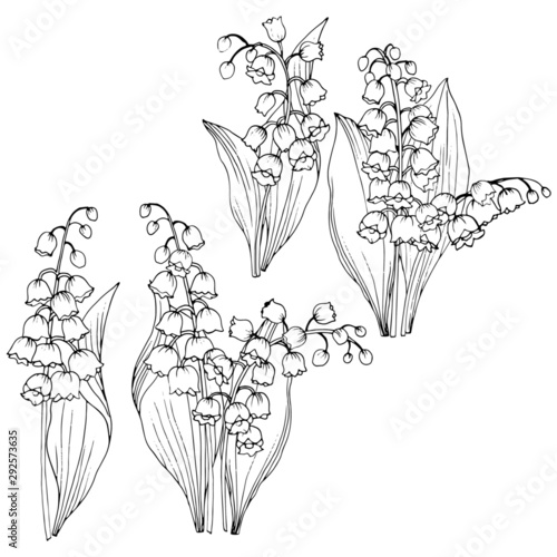 set of elements in black and white, leaves and flowers of the lily of the valley