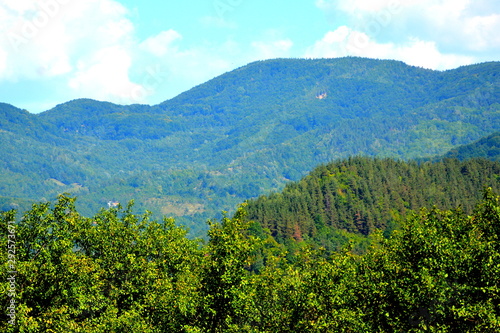Typical landscape in the forests of Transylvania  Romania. Green landscape in the midsummer  in a sunny day