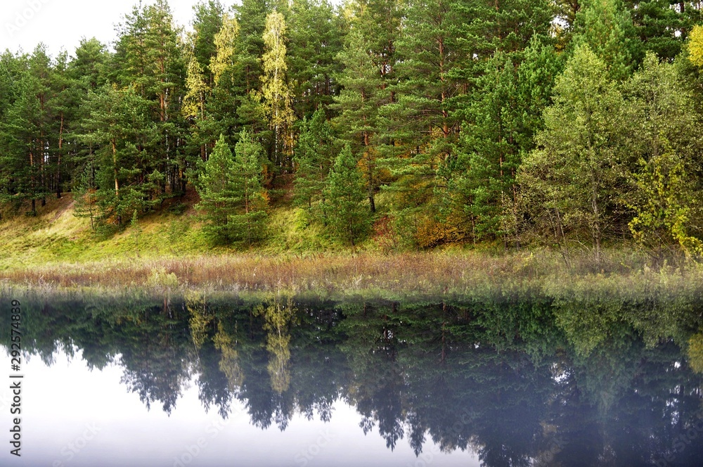Obraz premium lake in forest